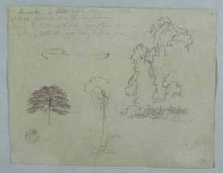 Teckning, Naturstudier från Rio Magdalena, Colombia:  Träd, lianer och en kanot, maj 1853