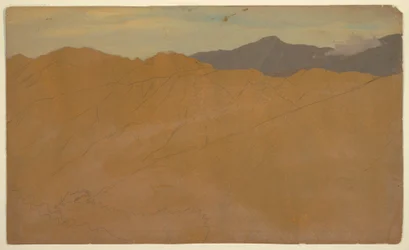 Teckning, Palmer och hustak, Ecuador, maj 1857