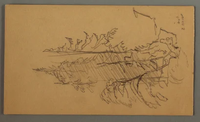 Teckning, Tallar, möjligen 1868