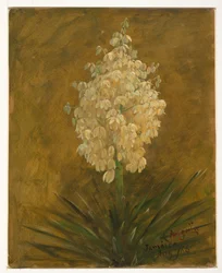 Teckning, blommande växt, augusti 1865
