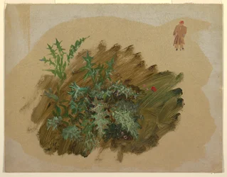 Teckning, Växtstudier, 1865