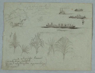 Teckning, Skisser från Rio Magdalena, Colombia:  Växter, ångbåt och en champan, 1853, troligen maj