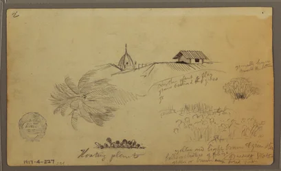 Teckning, Himmel över havet; Verso: Botaniska skisser, Hustak, maj 1857