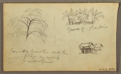 Teckning, gathörn i Guaquil, Ecuador; Verso: Botaniska skisser, hus, Ecuador eller Colombia, 1857