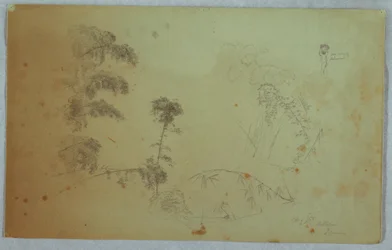 Teckning, Studier av träd med detaljer av bambu och en liten detalj av en man som bär bananer på sitt huvud, Bellevue, Jamaica, augusti 1865
