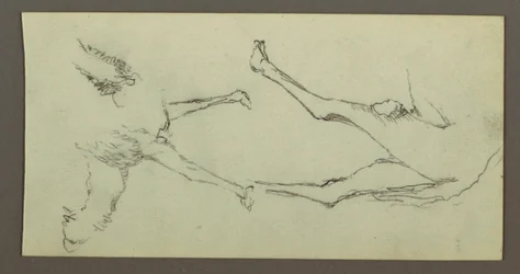 Teckning, Studie av kamelben, möjligen 1868