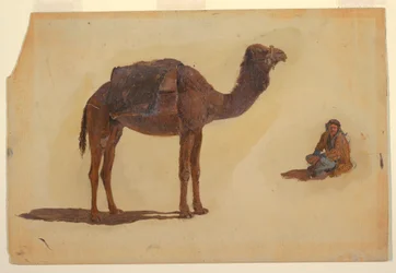 Teckning, studie av en dromedar, 1868