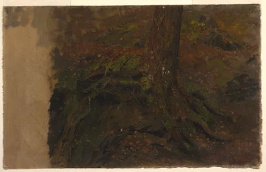 Teckning, studie av en trädstam, 1850-60