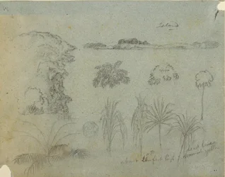 Teckning, Studie med trädtoppar, träd, fem växtmönster och en avlägsen ö, ca 1852-53
