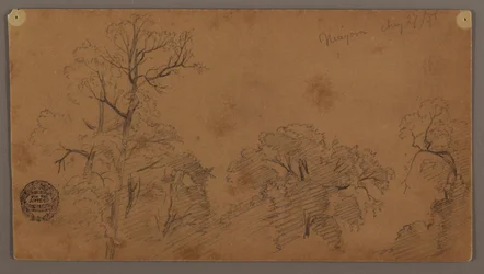 Teckning, trädtoppar, Niagara, 27 augusti 1856