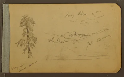 Teckning, Träd, berg, 1889