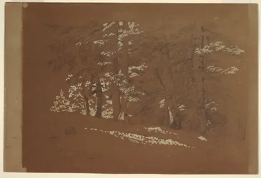 Teckning, Träd, Berchtesgaden, Bayern, 1868
