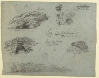 Teckning, Träd, trädtoppar och en skogsbeklädd bank, Saddleback, Maine, 1853
