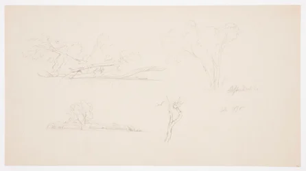 Teckning, Träd, en strand med buskar och träd, september 1876