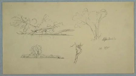 Teckning, Träd, en strand med buskar och träd, september 1876