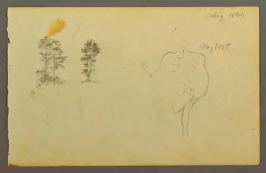 Teckning, Träd, ko, 1844