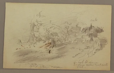 Teckning, Träd, möjligen 1860-tal
