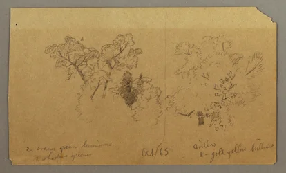 Teckning, Två trädstudier, oktober 1865