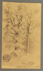 Teckning, Två träd, 1877