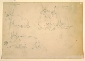 Teckning, Vy över hukande nötkreatur, september 1844
