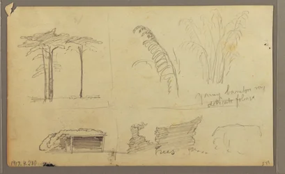 Teckning, Vy över Guayasflodens östra strand, mittemot Guayaquil, Ecuador, maj 1857