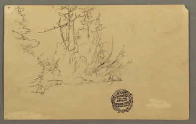 Teckning, Trädbevuxen bank, möjligen 1877