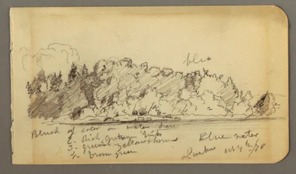 Teckning, Skogsklädd strand, vatten, 1878