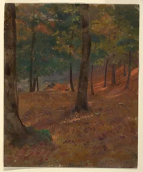 Teckning, skogsscen, 1870-80