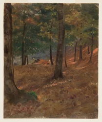Teckning, skogsscen, 1870-80