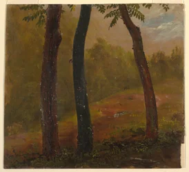 Teckning, skogsscen, Jamaica, 1865