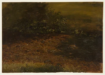 Teckning, Skogsbäck i Catskills, september 1848