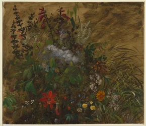 Blommor på Jamaica
