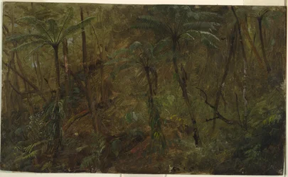 I skogen, Jamaica