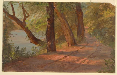 Landskap från Nordamerika (Road by a Lake)