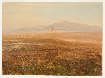 Mexikanskt landskap