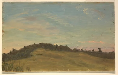 Sommarlandskap