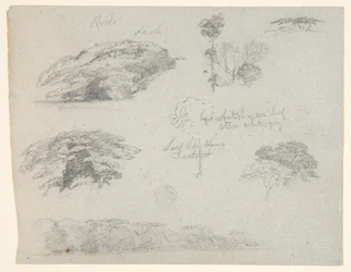 Träd, trädtoppar och en trädbevuxen bank, Saddleback, Maine