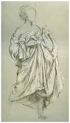 Studie av Daphnephoria, c1880-1882