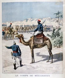 Meharistkropp, 1894
