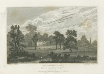 Rolleston Hall: gravyr och [mitten av 1800-talet] (tryck)