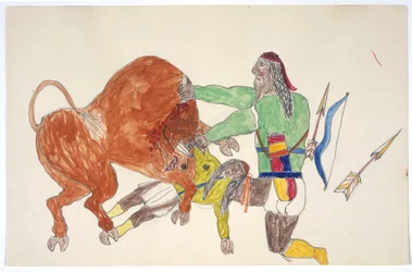 Bison trampande man