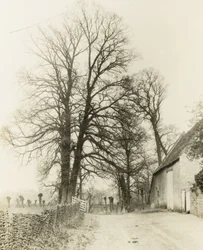 Kelmscott Manor: Väg och ingång
