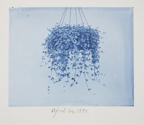 Namnlös, 24 april