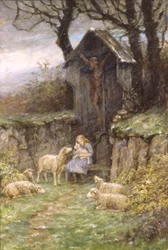 Tillflyktsort