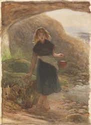 Musselsamlaren