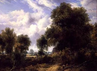 Skogbevuxen landskap
