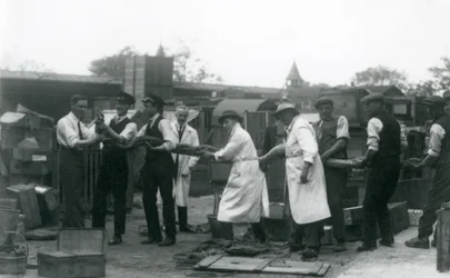 En 20 fot lång Python som bärs av elva medlemmar av Zoological Societys personal, London Zoo, juni 1925
