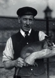En målvakt håller en wallaby, oktober 1920 (s/v foto)
