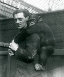 En man bär schimpansen Sally på ryggen, London Zoo, 1924