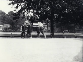 Den asiatiska elefanten "Jessie" skjutsar till två damer och ett barn medan den leds av en djurhållare i London Zoo, maj 1914